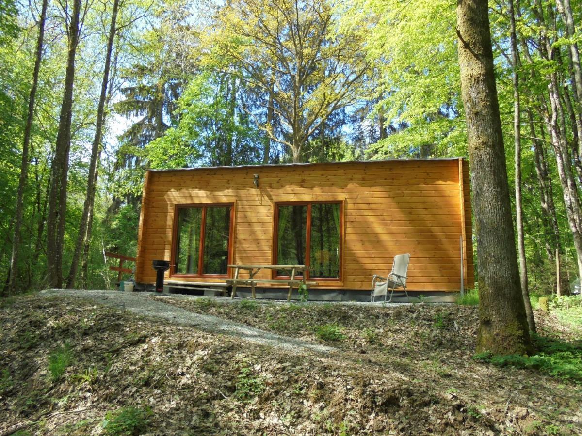 Gîte LE SOUS-BOIS Cerfontaine Exterior foto